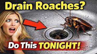 How to Stop Roaches From Coming Up the Drain?🪳