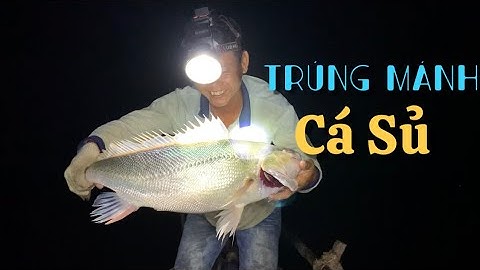Thức trắng đêm trúng mánh đàn Cá Sủ  ngư dân về nấu món ngon miệt vườn | Cldv 426