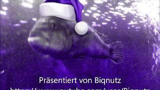 Kimbosabi  - Weihnachtsfest im Ozean