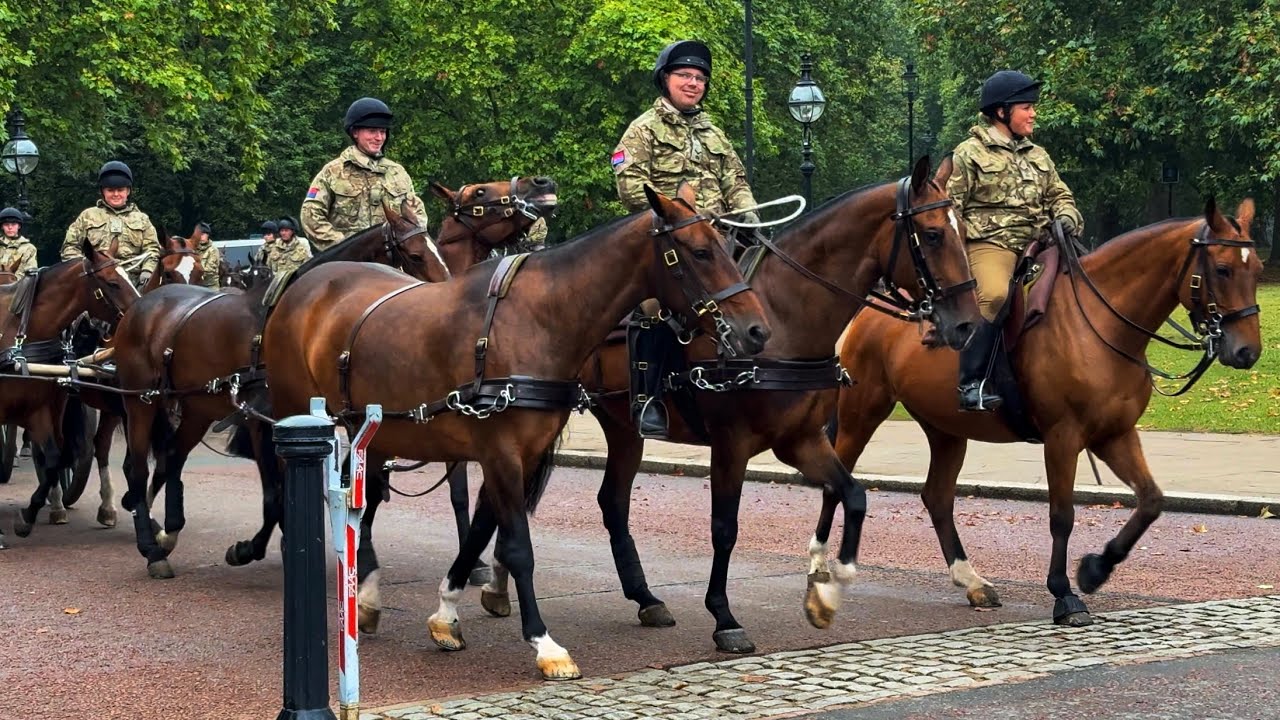 Troop Riding Breathtaking sight of The King’s Troop Royal Horse Artillery riding in ...