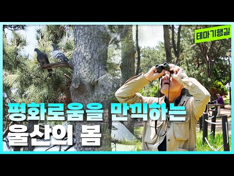 평화로움을 만끽하는 울산의 봄 | 테마기행길