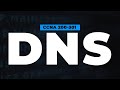 Domain Name System (DNS) | FREE CCNA 200-301 Cisco Course