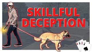 The 3 Moves You Need to Fix your Dog Walks - Plus the concept which ties it all together.