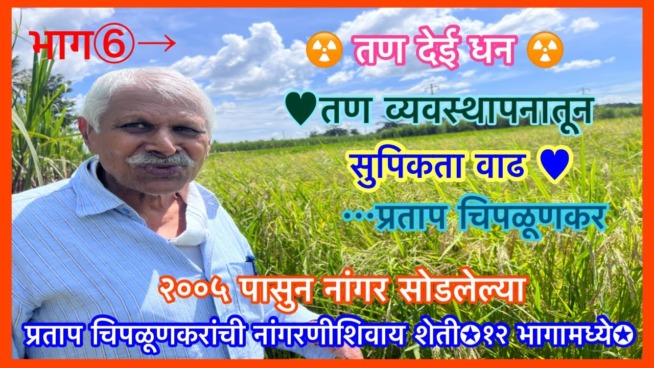 नांगरणीशिवाय शेती भाग ६#प्रताप चिपळूणकर# तण देई धन#तणापासून खत# No Tillage#Conservation Agri