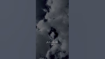 قرآن كريم - حالات واتس اب دينية - تلاوه تريح القلب ♥