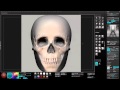 Sculpting Human Anatomy - Skull - Part2