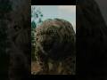 Kraven The Hunter short video #funny #shortvideo #youtubeshorts Kraven The Hunter short video