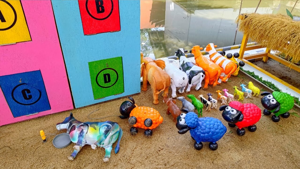 WADIDAW ‼️ SIMULASI POTONG SAPI QURBAN DAN SIMULASI SAPI KERBAU GAKAH KAMBING MELAHIRKAN