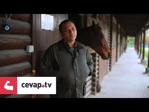Video: Atlarda Hastalık Salgınları