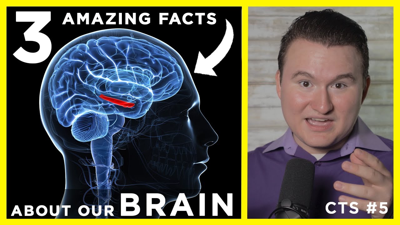 Do We ONLY Use 10 Of Our BRAINS 3 AMAZING FACTS On Brain Design Do we only use 10 of our brains 3 amazing facts on brain design