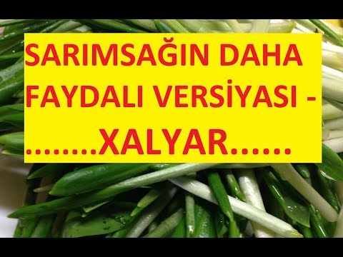 Video: Niyə Yabanı Sarımsaq Cücərmədi?