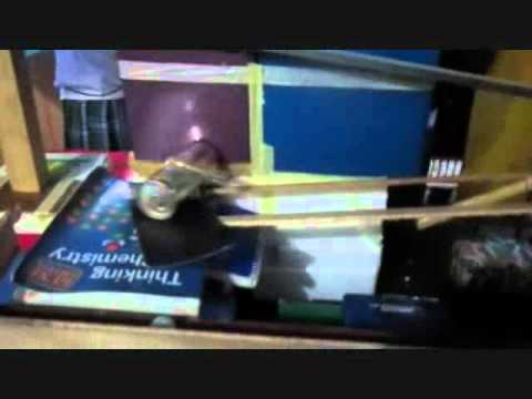 Physics Project IV-PASCAL, GROUP 4