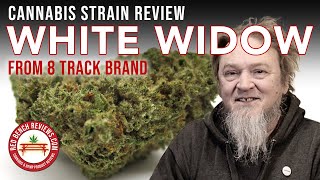 White Widow Strain Review – 8 Track Brand
