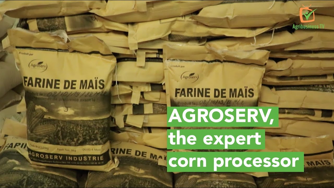 Burkina Faso: AGROSERV, the expert corn processor
