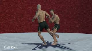 Instruct - Low kick, Turn around and kick back, Calf kick, And how to counter it