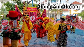 Đông Anh Đường Múa Lân Khai Trương Tại Tuy Hòa Phí Yên 2024