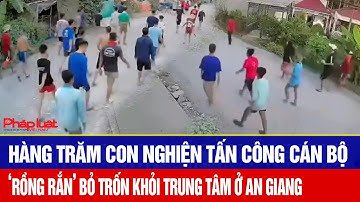 Hàng trăm con nghiện ra tay tấn công cán bộ rồi ‘rồng rắn’ bỏ trốn khỏi Trung tâm ở An Giang