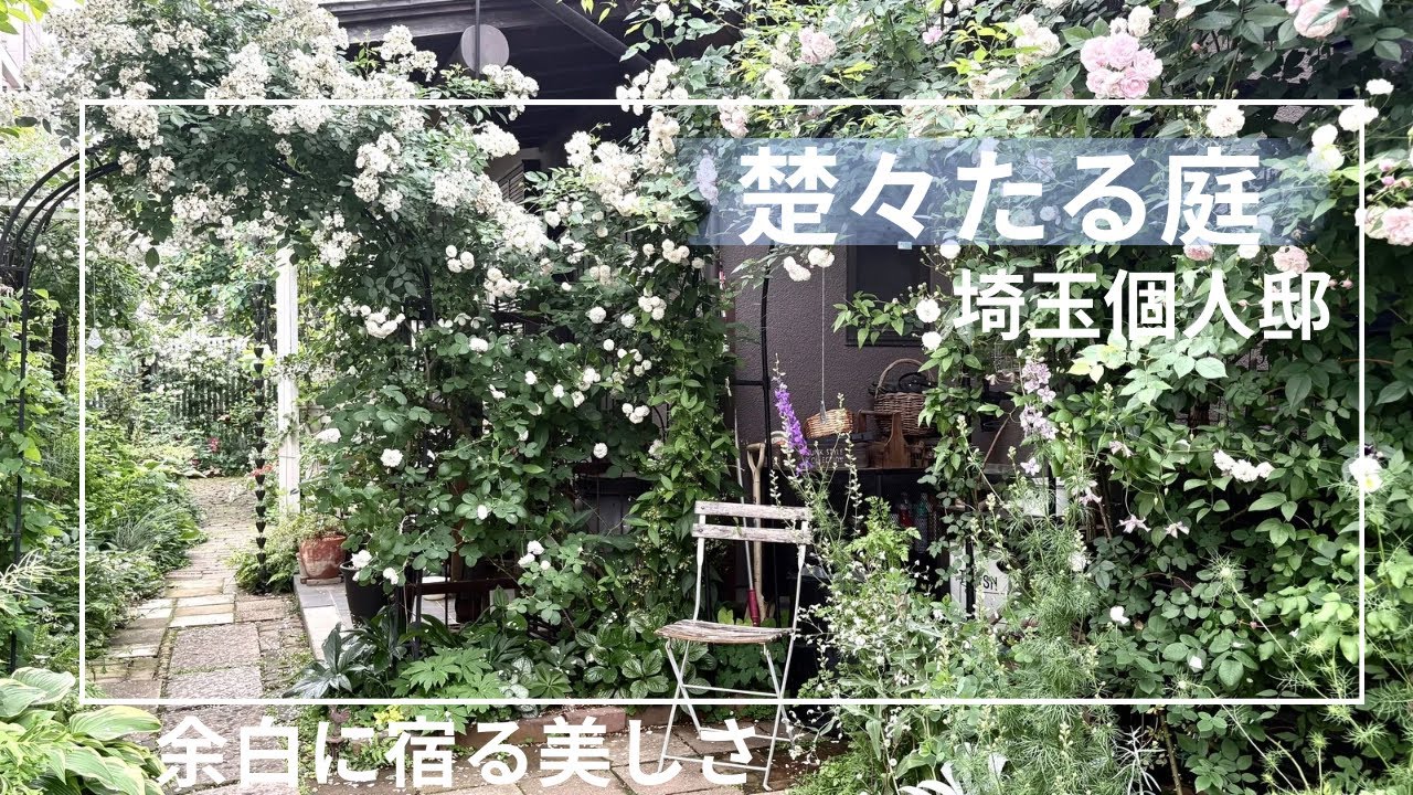 色の派手さより緑の濃淡🧚楚々たる庭は語らずして心に残る