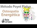 Osteopatía energética informacional. Método Poyet Pialux
