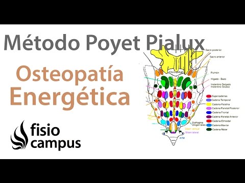 Osteopatía energética informacional.
