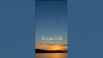 #قران_كريم #قرآن #تلاوة_خاشعة #راحة_نفسية #لايك #اكسبلور #شريف_مصطفى #احمد_العجمي #ياسر_الدوسري
