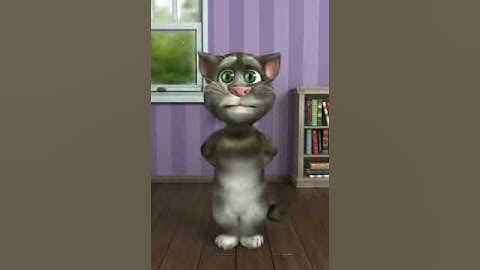 سورة الفاتحه بي صوت القط المتكلم