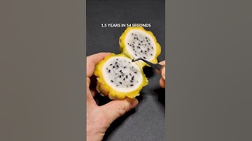 1.5 years in 54 seconds - Dragon fruit cactus timelapse