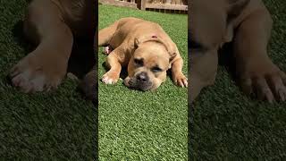 Make Sure To Rotate Your Pitatos Every Few Minutes