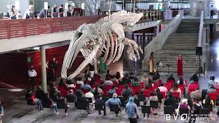 Bibliocápsula Actividades Culturales 1