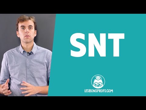 Les réseaux pair à pair - SNT - Seconde - Les Bons Profs