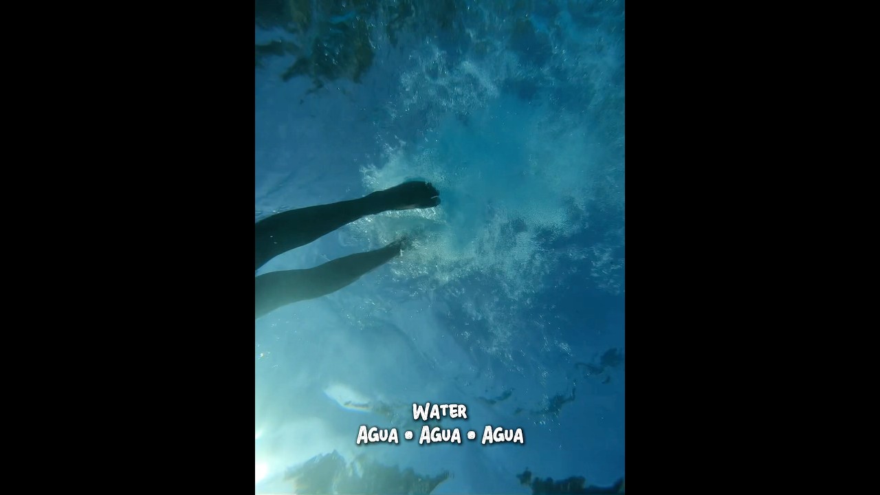 Watch ‘Agua’ Visualizer 🌊 on YouTube Watch ‘Agua’ Visualizer 🌊 on YouTube