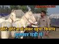 उम्मीदों के साथ किसान आये अपने घोड़े बेचने | Muktsar Mandi 2021!! Maghi Mela