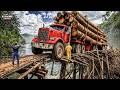 111 Extreme Dangerous Big Logging Wood Truck Driving Skill | Biggest Heavy Machinery Machines #10