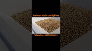 Soybean Peeling and Splitting Machine - Efficient Bean Processingbean beans soybean peeler