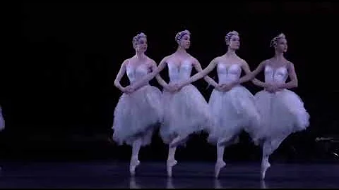 SWAN LAKE - Little Swans (Francesca Hayward , Meag...