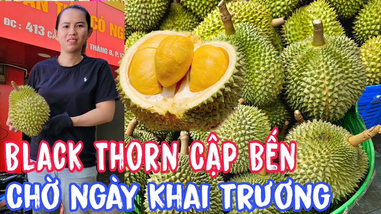 Sầu Riêng Black Thorn Cập Bến, Cửa Hàng Mới Đã Xong Chờ Ngày Khai Trương.