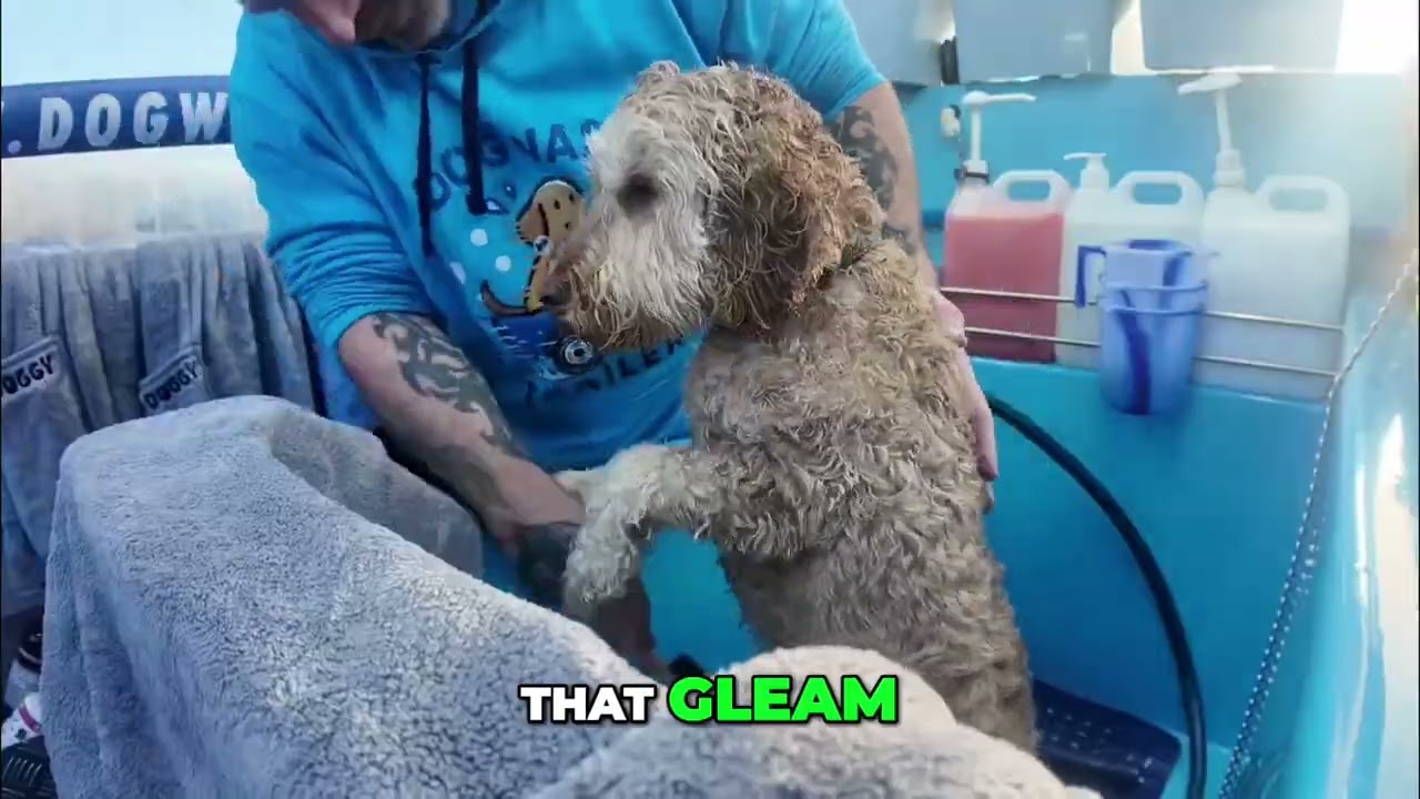 Newbold Comyn Leamington Spa