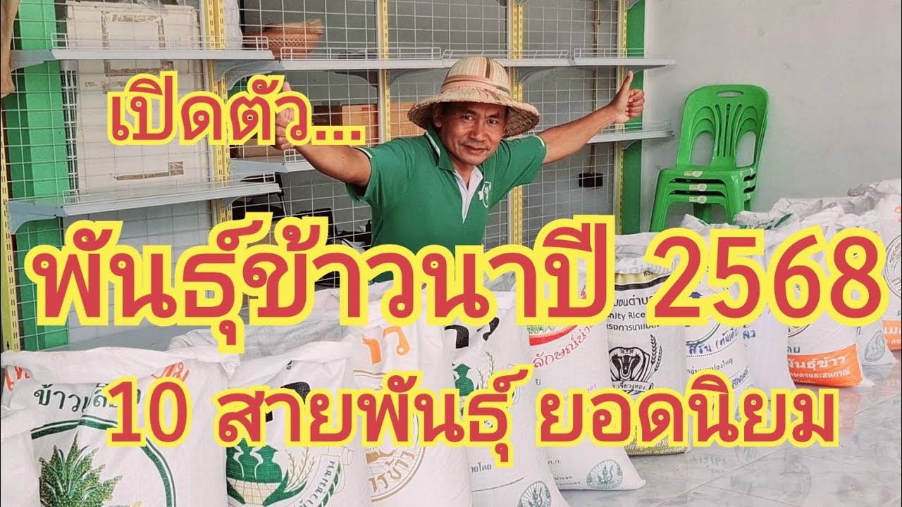 เปิดตัว อย่างเป็นทางการ....พันธุ์ข้าวนาปี 2568....จำนวน 10 สายพันธุ์ ยอดนิยม