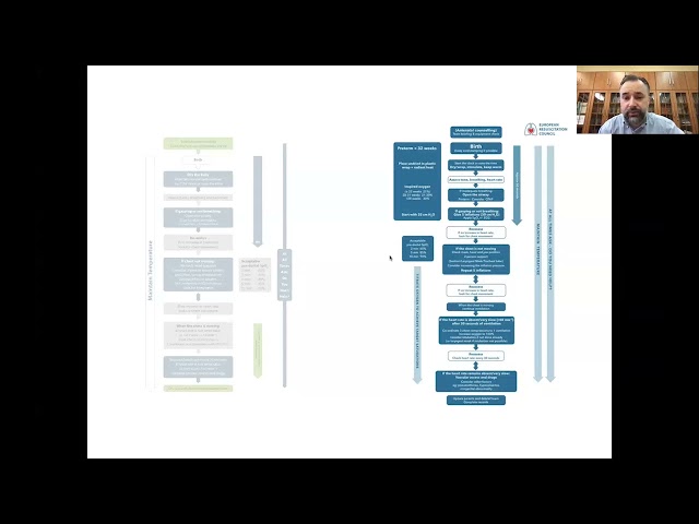 Watch The Use of ECG during Neonatal Resuscitation on YouTube.