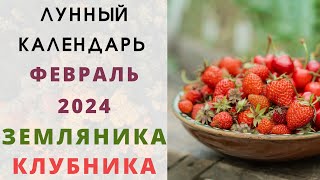 ЗЕМЛЯНИКА: Лунный Календарь ФЕВРАЛЬ 2024! Когда сеять семена клубники / земляники на рассаду?