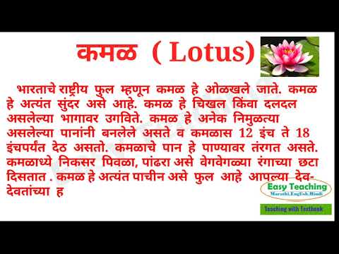 कमळाचे फूल |  Lotus (Kamal) | Information of flowers | In Marathi