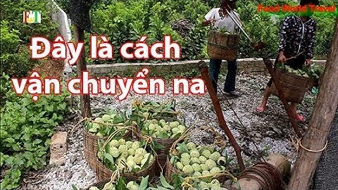 Cách chuyển NA từ vách núi đá cao bằng cáp treo người dân Chi Lăng Hữu Lũng  Cable transport
