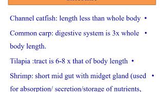 fish nutrition in aquaculture