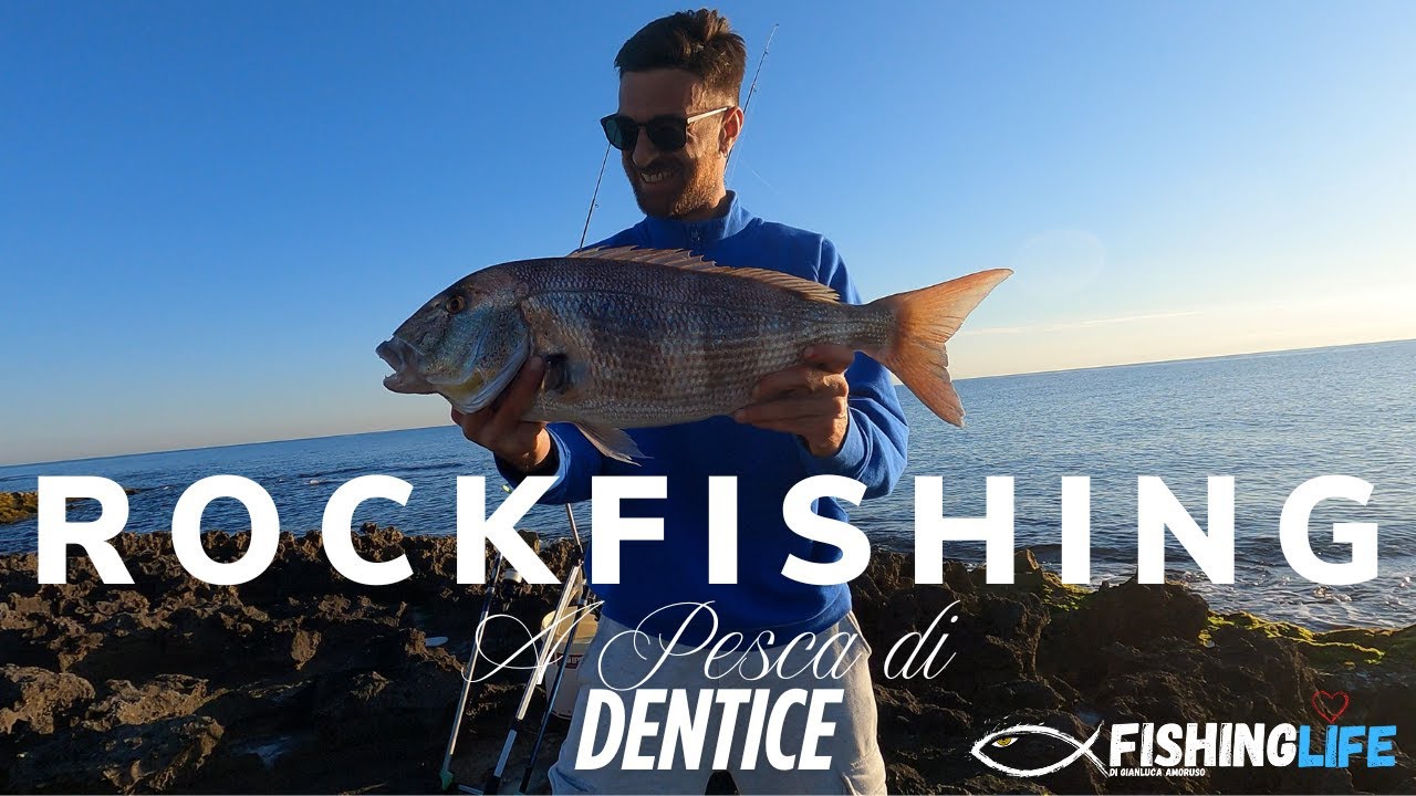 Pesca a Rock Fishing   Big Dentice da Riva ! Che potenza lenze e inneschi per il rè della scogliera