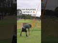 When Anthony Kim drove the green last year 👀 #golf #LIVGolf