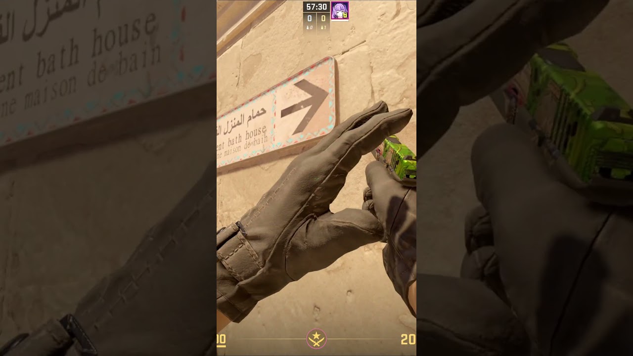 ANUBIS A MAIN GOD FLASH 