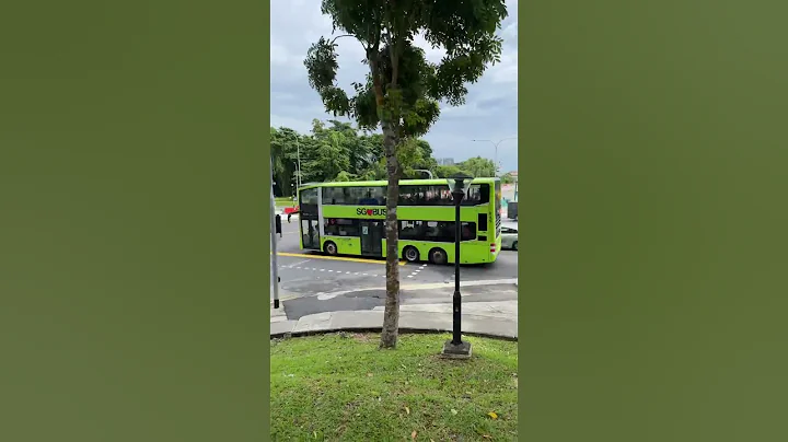 SingaporeBus is super effecient. Tourist must try!
