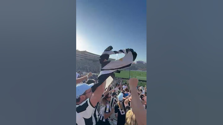 TORCIDA DO BOTAFOGO COMEMORA O GOL DO IGOR JESUS, NO ESTÁDIO ROSE BOWL,EM LOS ANGELES.