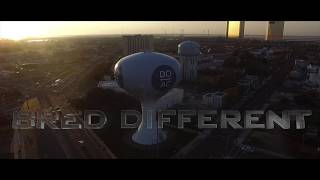 Celebrity BRED DIFFERENT OFFICIAL TRAILER Wealth