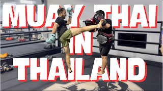 Muay Thai Training in Thailand Chiang Mai, Costs, Muay Thai Gym, Sting Hive, Beginner Session, VLOG